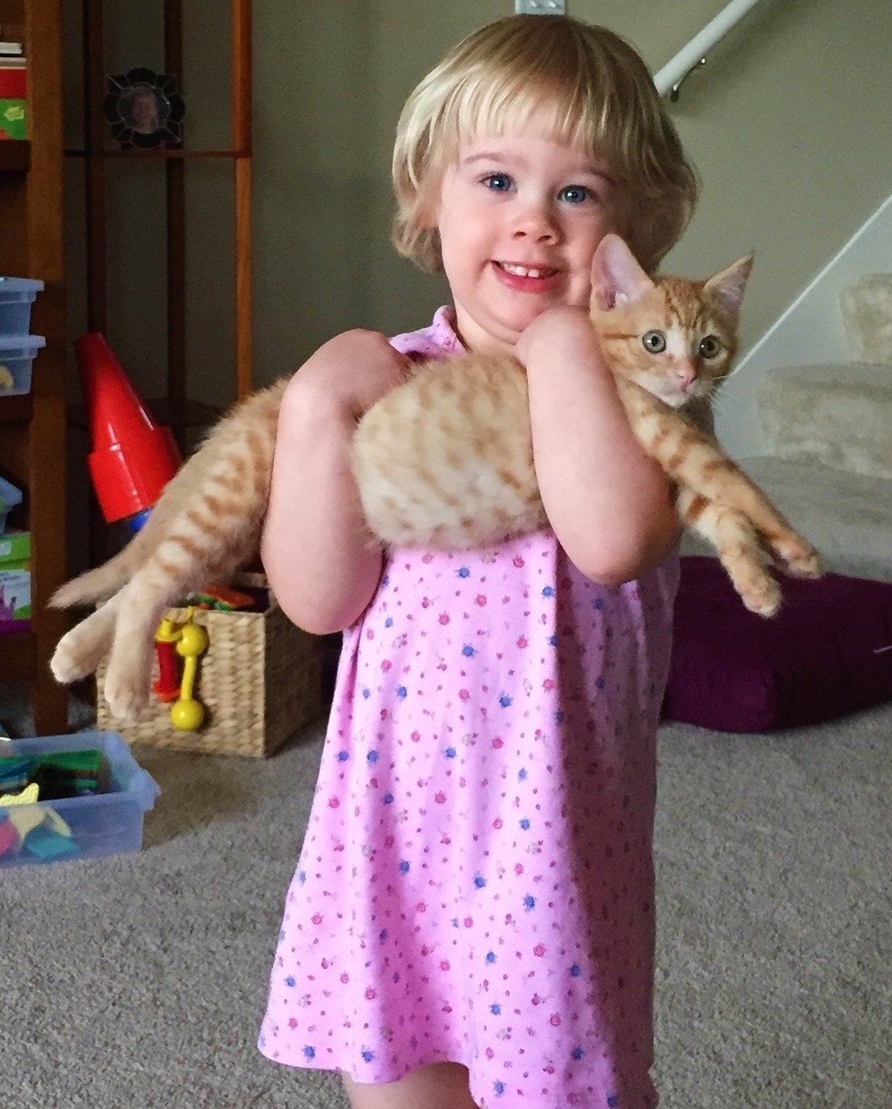 the-lovely-story-of-shelter-kitten-and-2-years-old-girl-2
